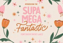 Supa Mega Fantastic Font Duo by Nicky Laatz