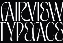 TAN Fairview font by TanType