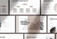 Business Plan Presentation Template with 30 Pages and Infographics