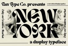 TAN NEW YORK Font by TanType.