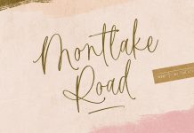 Montlake Road Script Font by The Styled Script