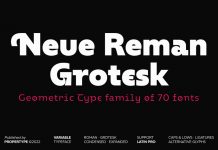 Neue Reman Grotesk Font Family by Propertype