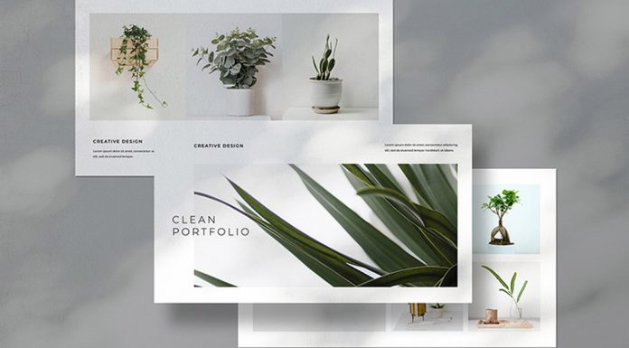 Clean Portfolio Template For Adobe InDesign 696x385 
