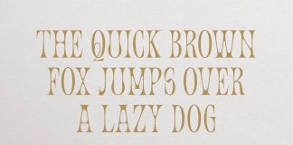 TAN ORIENT Font by TanType