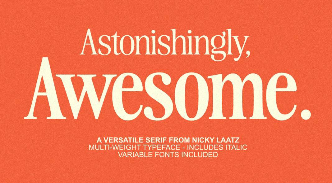 The Awesome Serif Font Family by Nicky Laatz