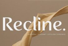 Recline font family by Digitype Studio