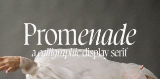 Promenade Font by Jen Wagner Co.