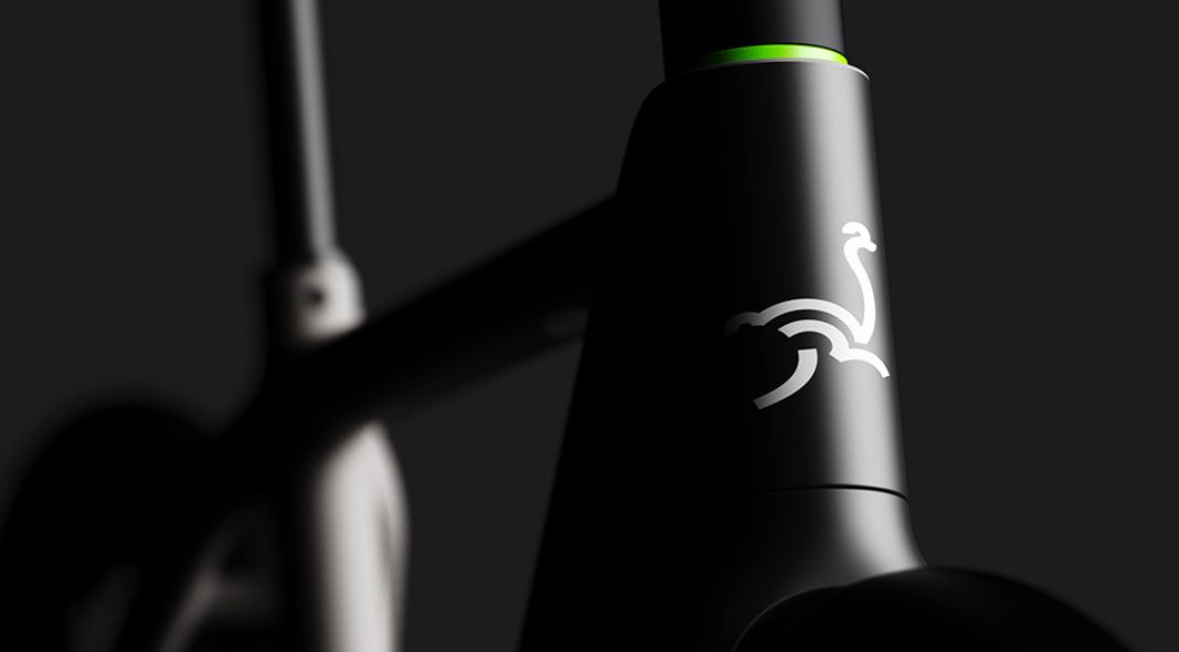Ostryche e-bikes branding by Layer Design
