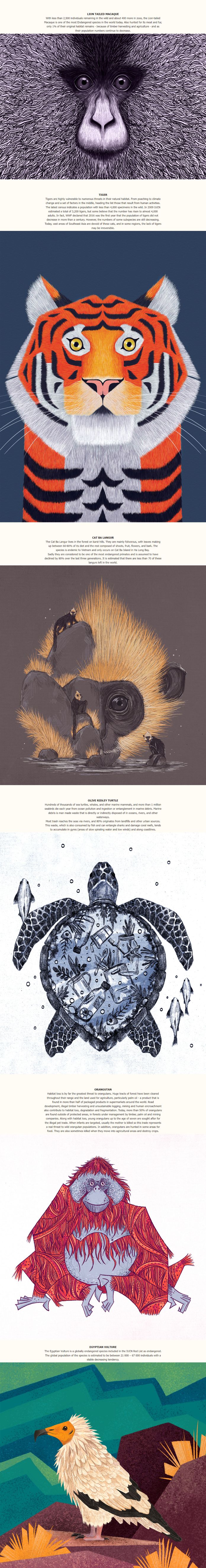 Animal awareness illustrations by Rohan Dahotre
