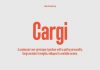 Cargi Font Family by Studio Principle Type