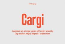 Cargi Font Family by Studio Principle Type
