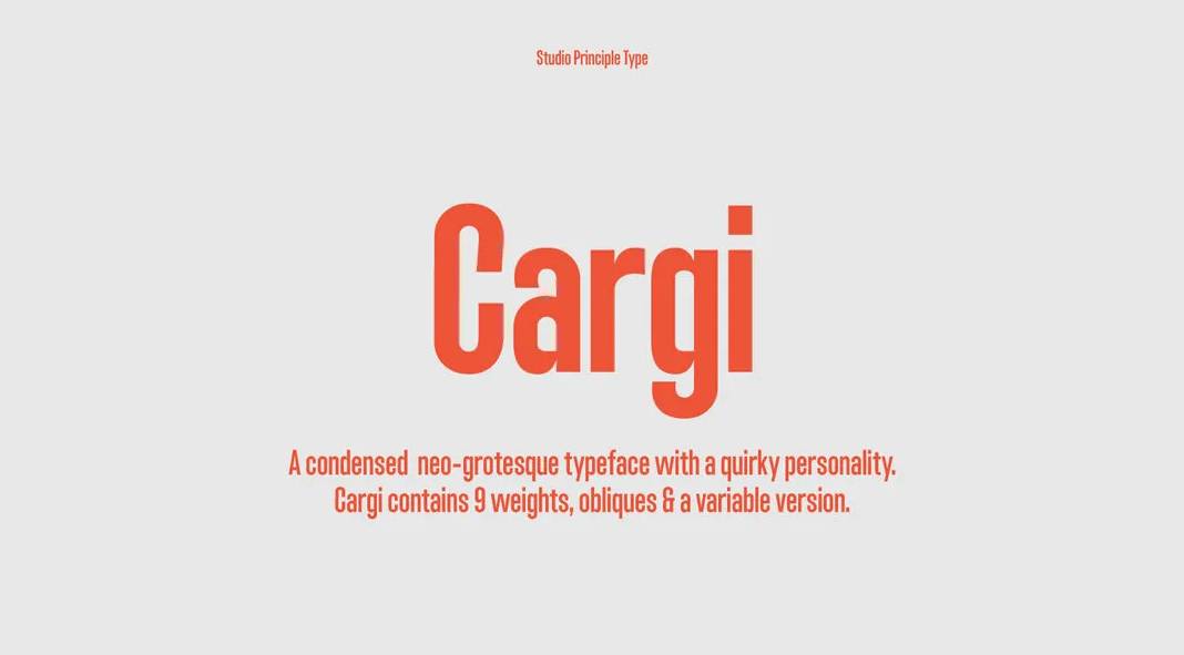 Cargi Font Family by Studio Principle Type