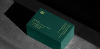 Ecoscience Foundation - Brand Identity Design by Cantone Studio