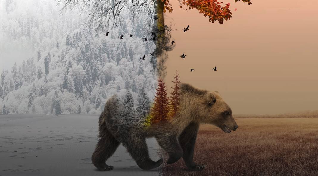 Learn to create magical photomontages in Adobe Photoshop.