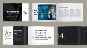 Logbook Indesign Download A Professional Brand Book InDesign Template