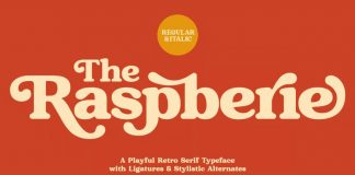 Raspberie 90s font by Variatype