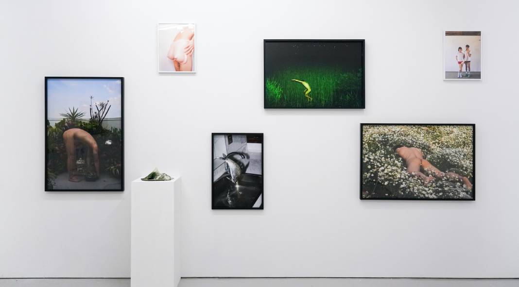 (In)directions - Queerness in Chinese Contemporary Photography - Exhibition at Eli Klein Gallery