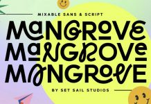 Mangrove Font Family by Set Sail Studios