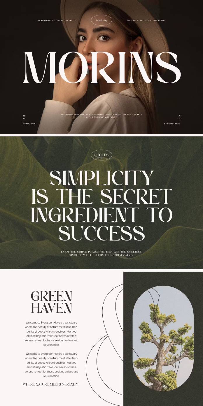 Morins Serif Font by Perfectype