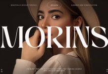 Morins Serif Font by Perfectype