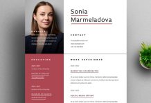 A High-Quality Resume Template with Red Accents by Phillip
