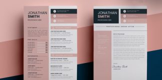 A Resume Illustrator Template with Sidebar and Pink Design Elements by CristalpDesign