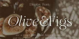 Olive and Figs - Classic Serif Display Font by Harmonais Visual