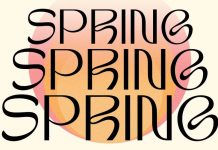 TAN Spring Font by TanType