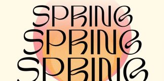 TAN Spring Font by TanType
