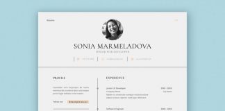 Download a Clean, Classic Resume InDesign Template
