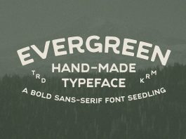 Evergreen Font by Studio David