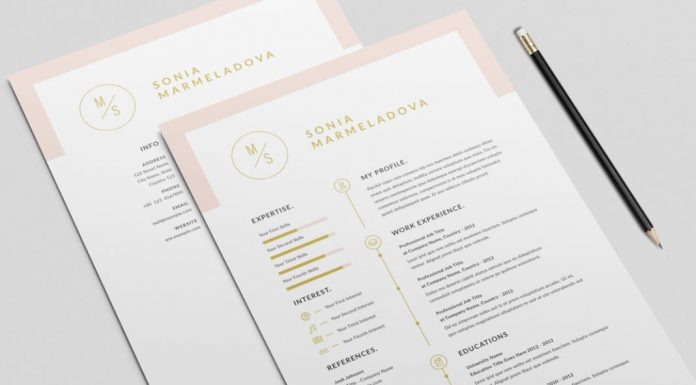Resume InDesign Template with Pale Pink Header