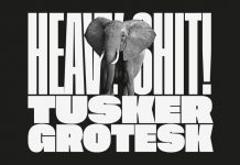 Tusker Grotesk Font Family by Lewis McGuffie Type