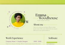 Unique and elegant resume template for Adobe InDesign