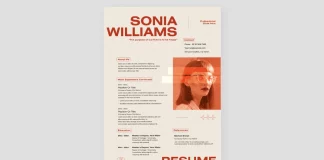 A Cool but Simple Resume Template for Adobe InDesign