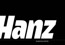 Hanz Font Family by Santi Rey