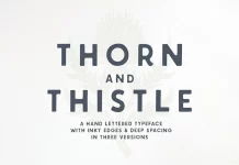 Thorn & Thistle Layering Font by Callie Rian & Co.