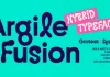 Argile Fusion Font Family by Art Grootfontein