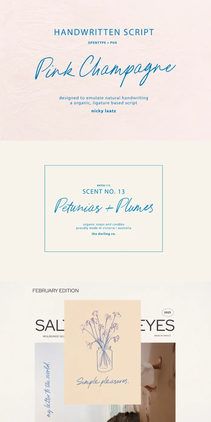 Pink Champagne Script Font by Nicky Laatz