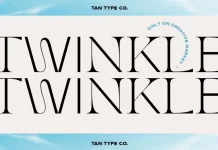 TAN TWINKLE Font by TanType
