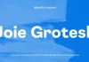 Joie Grotesk Font Family by Moritz Kleinsorge of Identity Letters