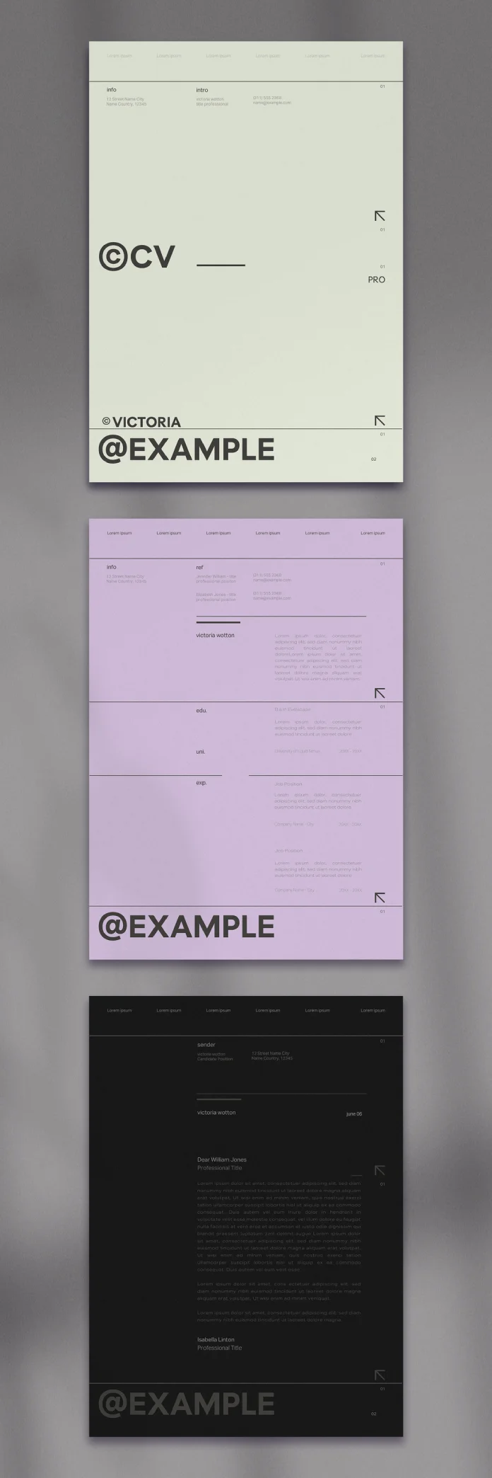 Modern CV InDesign Resume Template | Pro Layout & Cover Letter