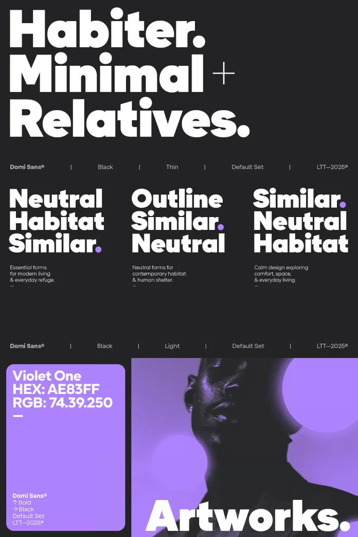 Domi Font Family by Latinotype