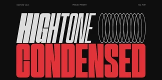 Hightone Font Family by Typoraith Co Hightone Font Family by Typoraith Co