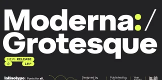 Moderna Grotesque Font Family by Latinotype
