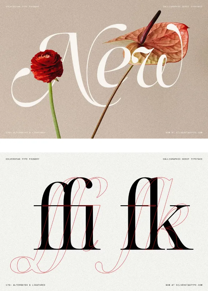 SLTF Netsera Font by SilverStag Type Foundry