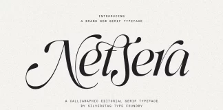SLTF Netsera Font by SilverStag Type Foundry, Calligraphic Serif Typeface