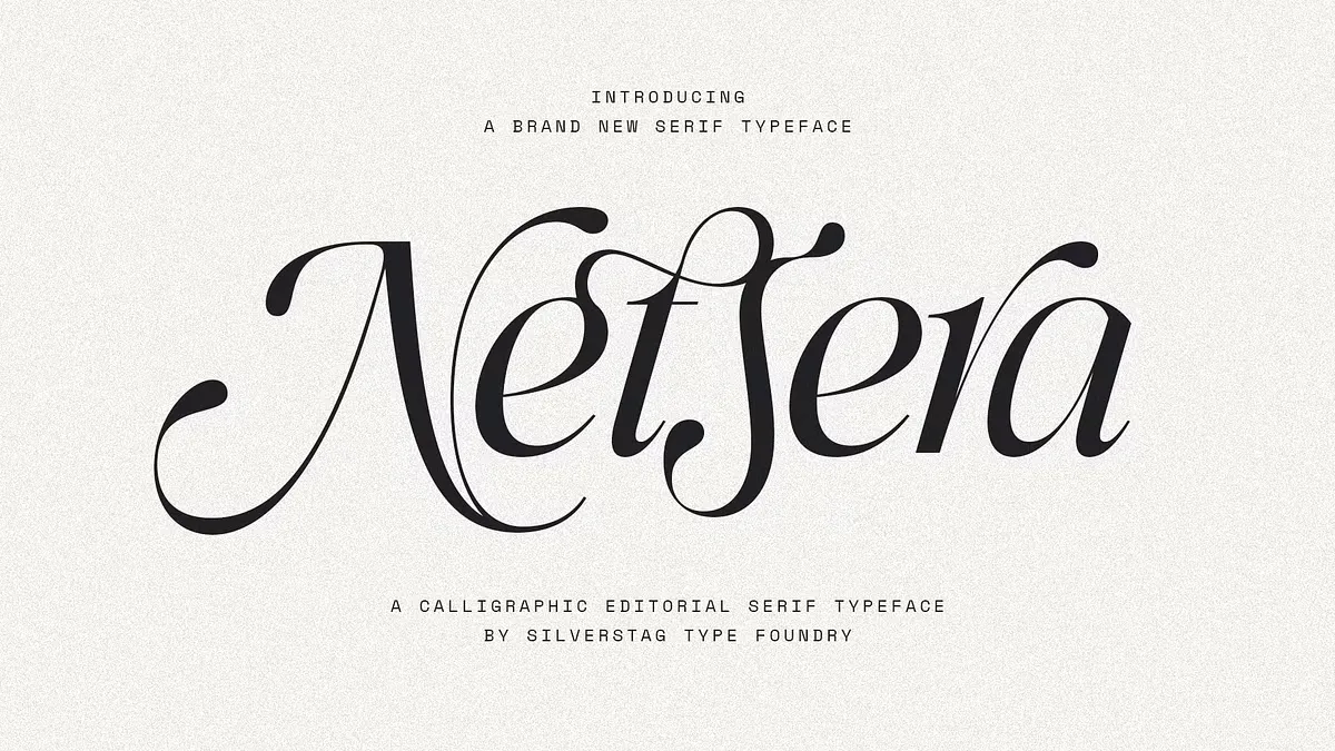 SLTF Netsera Font by SilverStag Type Foundry, Calligraphic Serif Typeface