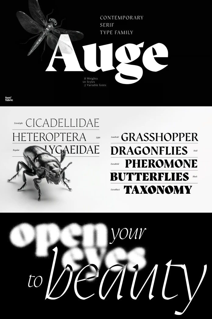 Auge Font Family by Fontfabric