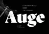 Auge Font Family by Fontfabric